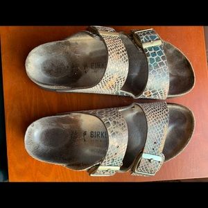 Snake print Birkenstock